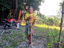 Mikhael Bria, Penyandang Disabilitas di Desa Taaba Belum Mendapat Sentuhan Pemerintah