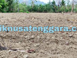 Progam Pacul Tanah di Kecamatan Rinhat Diduga Tebang Pilih Dan Beraroma KKN