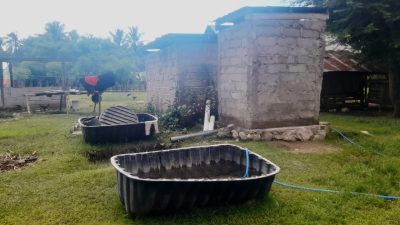 Miris, Proyek Saptik Tank Di Desa Wederok Jadi Begini
