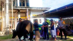 Julie Laiskodat Berbagi 15 Ekor Sapi Kurban untuk Umat Muslim di NTT: Perayaan Idul Adha 1446 H Jadi Momen Berbagi Kebahagiaan